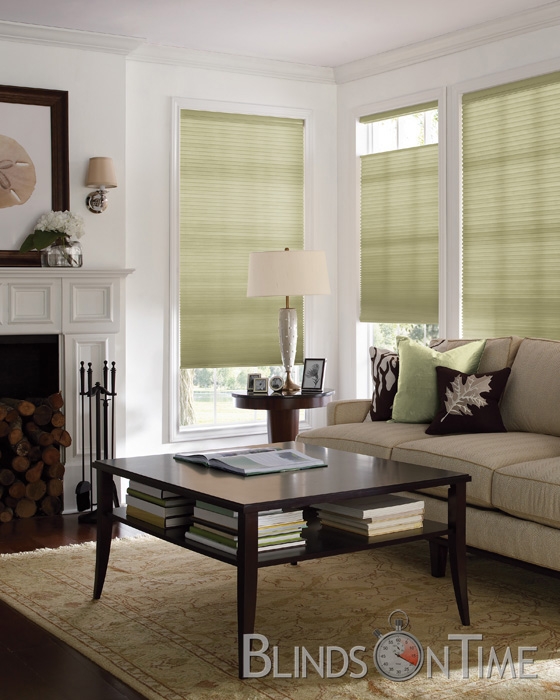 Levolor Cellular Blinds Blinds On Time