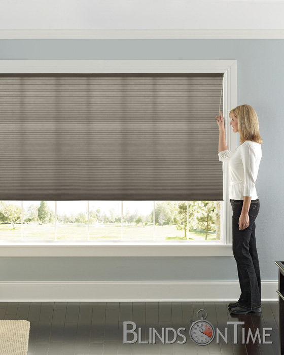 Levolor Accordia Desinger Color Cellular Shades 9/16" Cell Light Filtering Shades