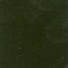 006 Raw Umber