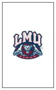 Loyola Marymount University-0314_0004