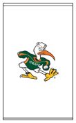 University Miami Hurricanes-0450_0003
