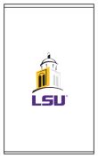 LSU Tigers-0460_0003