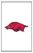 University of Arkansas Razorbacks-0467_0001