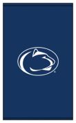 The Pennsylvania State University-0479_0002