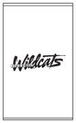 Northwestern University Wildcats-0480_0003