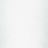 Frost White-4001