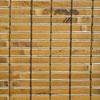 Rustic Tortoise-4090