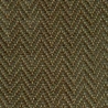 Forest-572