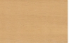 Sugar Maple-6713