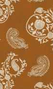 PF-Amber Waves 0100_0035_0017