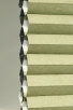 Basil-6265