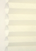Birch-6501