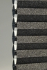 Black-6299