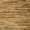 Brown-4104004