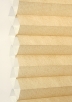 Brown-6019
