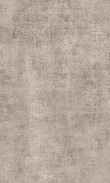 SS-Charcoal 0100_0026-1211