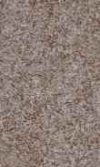 CC-Charcoal 0100_0050-1211