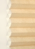 Cinnamon-6004