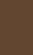 SC-Cinnamon Stick 0100_1111_0162