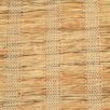 Coral-4194002