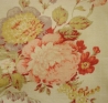 G1-Coventry-Primrose