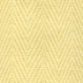 Canary