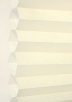 Dove-6508