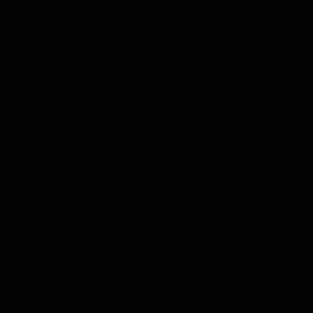 Ebony-1690