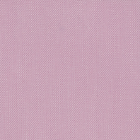 Essentials-Lavalite