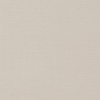 Essentials-Birch