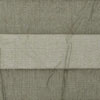 Fern-374P