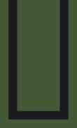 SCB-Forest Pine W/Blk Border 0018 0100_1111_0456