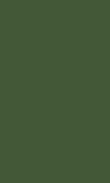 SC-Forest Pine 0100_1111_0456