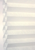 Gardenia-6006