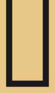 SCB-Ginger Root W/Blk Border 0018 0100_1111_0178