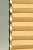 Golden-6268