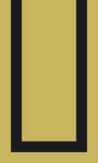 SCB-Golden Glow W/Blk Border 0018 0100_1111_0237