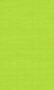 BW-Green Apple 0100_0021-1086