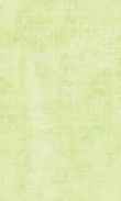 SS-Green Apple 0100_0026-1086