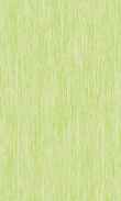TO-Green Apple 0100_0029-1086