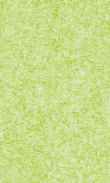 CC-Green Apple 0100_0050-1086