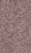 CC-Huckleberry 0100_0050-1020