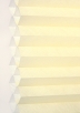 Lemon-6007