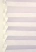 Lilac-6065