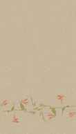 TB-Luscious Apricot 0100_0039_0013