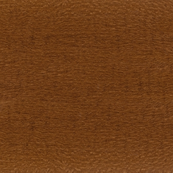 Majestic Walnut-1041