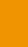 SB-Mango 0100_1111_0150