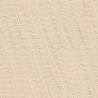 Maui Shell-3171