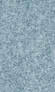 CC-Morning Glory Blue 0100_0050-1152