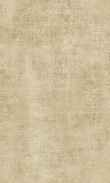 SS-Nutmeg Spice 0100_0026-1204